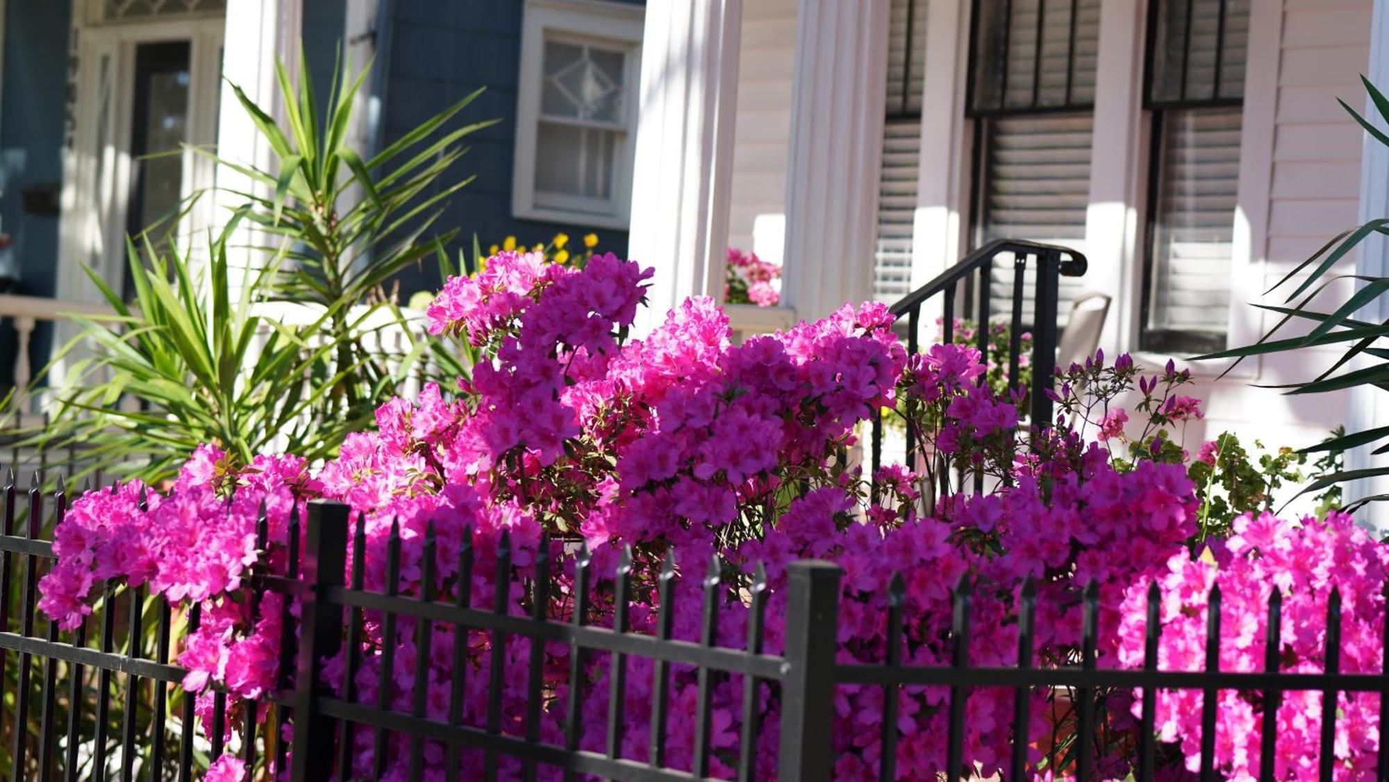 5 Bedroom Downtown Savannah Ga Exteriör bild